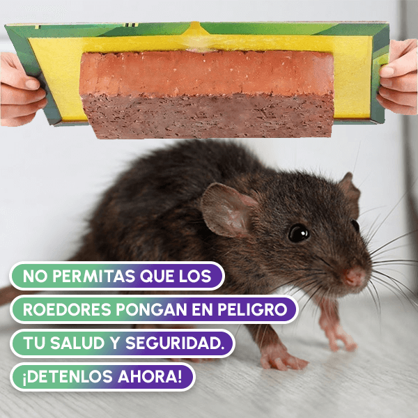 Pague 1 Lleve 2 Pak Trampa Adhesiva para Roedores + OBSEQUIO