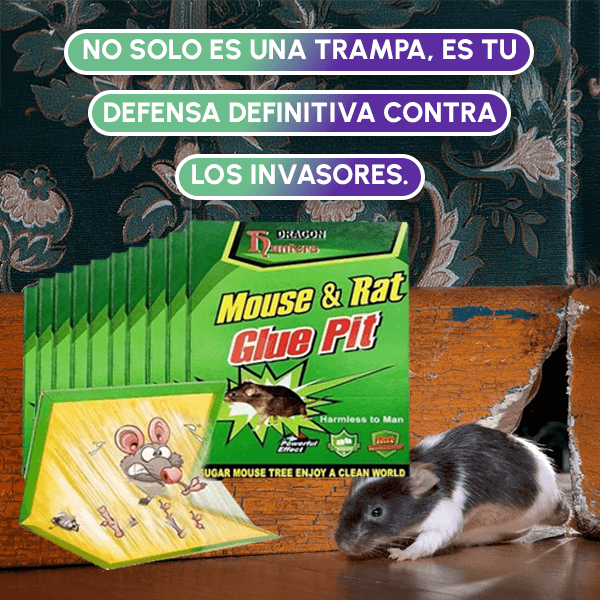 Pague 1 Lleve 2 Pak Trampa Adhesiva para Roedores + OBSEQUIO