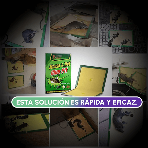 Pague 1 Lleve 2 Pak Trampa Adhesiva para Roedores + OBSEQUIO