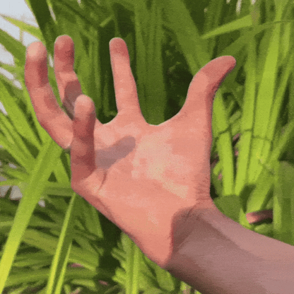Shilajit  Energía sin Límites + REGALO