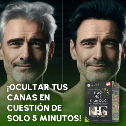 Cubre Canas 👩‍🦳👩‍🦱 en casa Shampoo Black Hair - Envío GRATIS