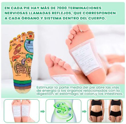 PARCHE DESINTOXICANTE ADELGAZANTE  + REGALO
